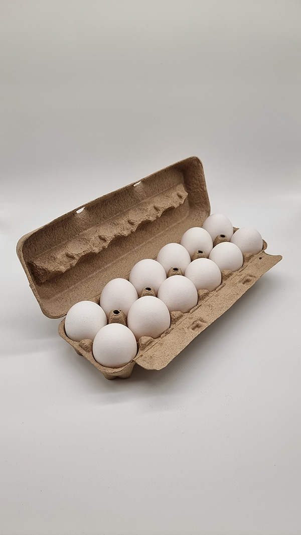 Cardboard Egg Cartons- Poultry Supplies